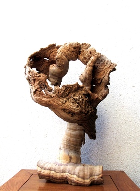 千年胡杨风化老木原木随形根艺摆件自然禅意艺术创意家居收藏饰品