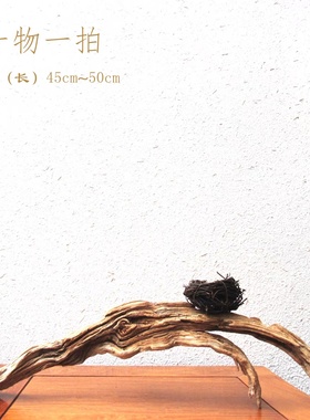 天然鸟窝千年胡杨风化枯木整体随形摆件家居客厅玄关书房自然创意