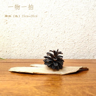 千年胡杨风化老木摆件自然禅意景观创意文玩珠宝首饰搭配拍照底座