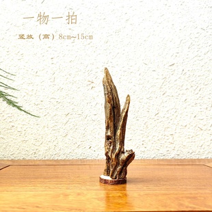 千年大漠胡杨风化原木随形根艺摆件自然禅意艺术创意家居收藏饰品