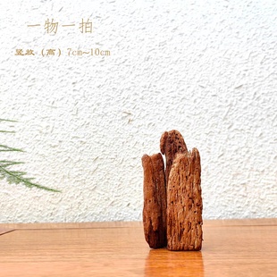 精选千年胡杨风化木随形根艺摆件自然禅意艺术微景观创意家居饰品