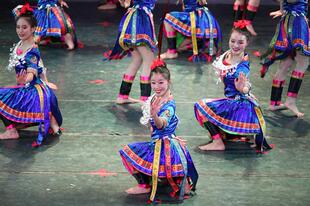 新款锦鸡炫美苗族服装演出服彝族土家族民族表演服舞蹈服女装包邮