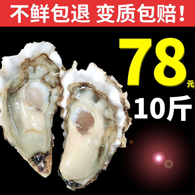 乳山大牡蛎带壳10斤包邮海鲜生蚝