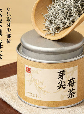 莓茶张家界野生特级芽尖霉茶