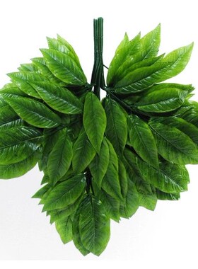 仿真芒果叶 园林工程装饰假植物仿真叶子 仿真假树枝树叶假芒果枝