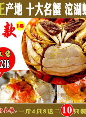0安徽沱湖鲜活雌雄对大闸蟹