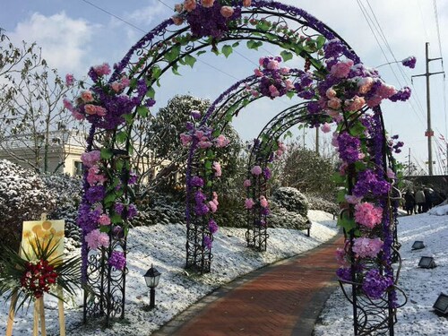 草坪婚礼爬藤花架韩式新款拱门