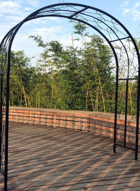 欧式铁艺拱门花架爬藤架庭院户外鲜花拱门月季爬藤庭院花园花支架