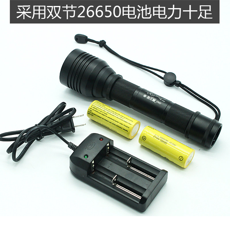 强光LED专业潜水手电筒26650潜水补光灯在类目 户外/登山/野营/旅行用品, 户外照明, 手电筒中 - 来自Buy2taobao.com提供专业的淘宝代购服务