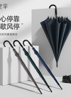 天堂伞正品高档长柄雨伞加大加厚加固半自动大号太阳伞女晴雨伞男