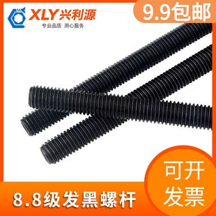 8.8级发黑螺杆全螺纹牙条通丝杆M6m8m10m12m14m16m20M24M30螺纹杆
