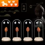 Wenwan стеклянная крышка пыли -защищенная герметизация, покрытая браслетом из грецкого ореха, ядерная резьба с одноналетними, борьба с хранением, новые продукты новые продукты новые продукты