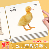 动物认知卡片宝宝早教婴儿幼儿看图识物书儿童识字大卡闪卡大尺寸