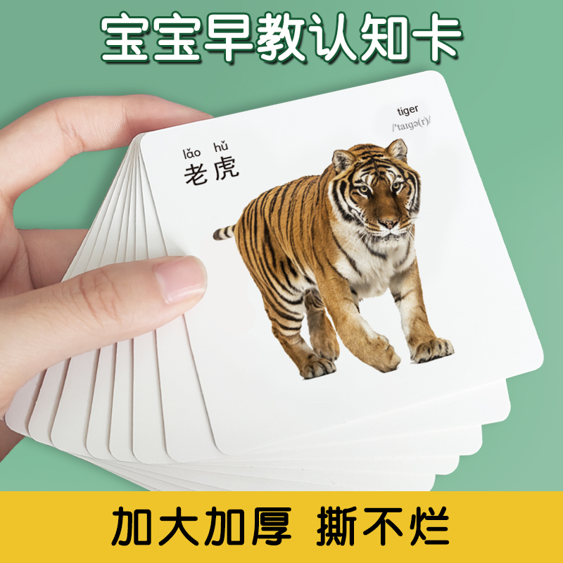 撕不烂的早教卡【天猫超级单品】