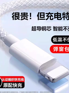 能适适用苹果17充电线iPhone16数据线lightning苹果pd快充20w闪充15pro充电器线14手机usb车载ipad平板双typc