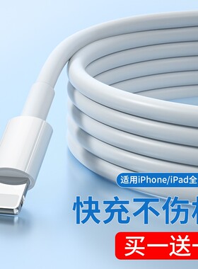 能适数据线适用iPhone苹果ipad平板 快14充12闪充13pro充电器线11xsmax手机快速ipa充电线车载加长2米冲电线