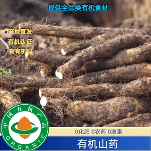 包邮 顺丰 有机糯山药有机山药3斤有机铁棍山药口感好有有机码