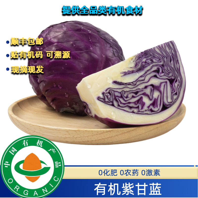 有机紫甘蓝有机认证可生食