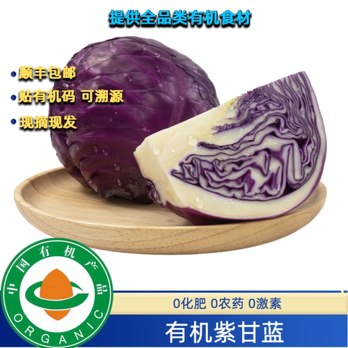 有机紫甘蓝有机认证可生食