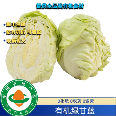 有机绿甘蓝有机甘蓝5斤装，有机认证不打药圆白菜卷心菜