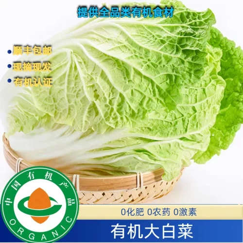 有机大白菜4斤装，有机认证证书有机码齐全健康美味新鲜包邮