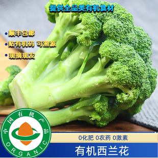 有机西兰花3斤有机认证顺丰包邮无农残有机花椰菜现摘现发