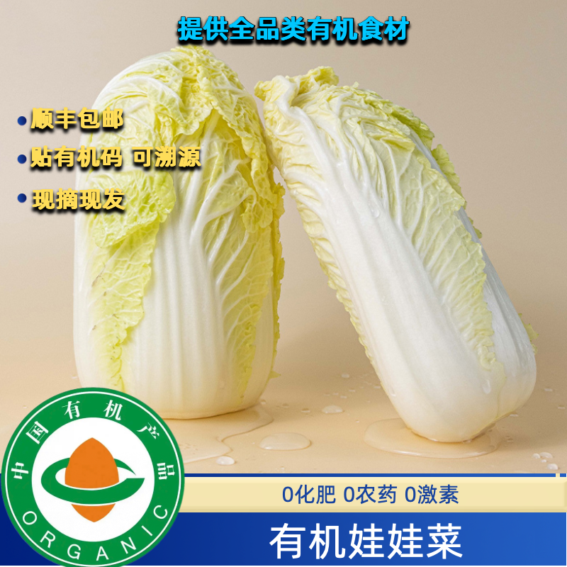 有机种植基地，有机娃娃菜5斤装，有机认证营养美味有有机码现摘,水产肉类/新鲜蔬果/熟食,其它,淘宝优惠券,粉丝福利购,淘宝优惠卷