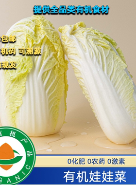 有机种植基地，有机娃娃菜有机认证营养美味有有机码现摘