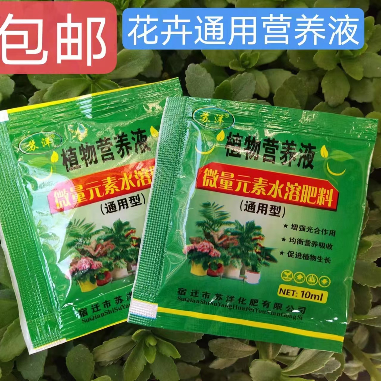 植物营养液鲜花保鲜剂水溶肥料