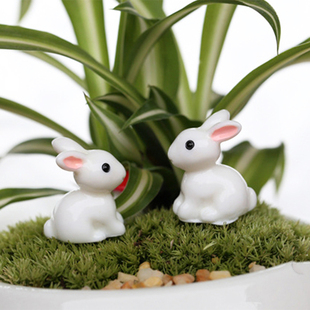 小耳朵斯基兔子公仔儿童过家家玩具假山流水族多肉盆栽微景观装扮