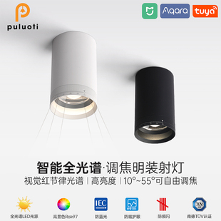 明装射灯可调光束角客厅吸顶无主灯玄关圆形聚光大瓦数走廊走道灯