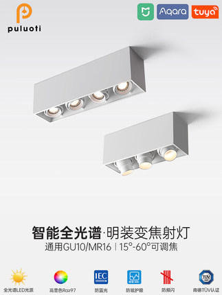 puluti Led表面贴装射灯可调角度大胆灯客厅无主灯长顶棚箱灯