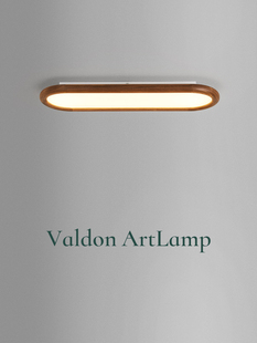 华智灯黑胡桃过道灯2025新款新款中国风入口入口衣帽间走廊吸顶灯