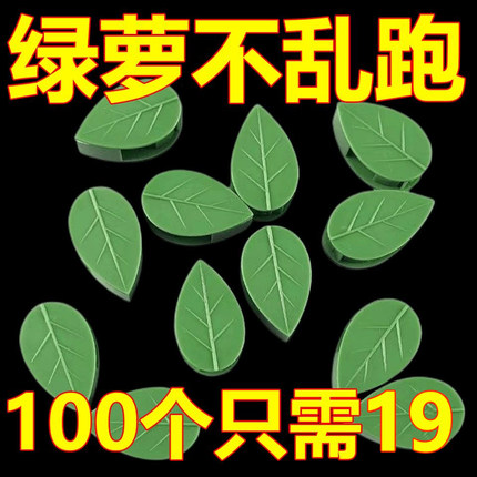 室内无痕绿萝爬藤固定器免钉卡扣自粘式挂钩墙上客厅藤蔓攀爬神器