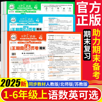 王朝霞试卷期末活页卷上册