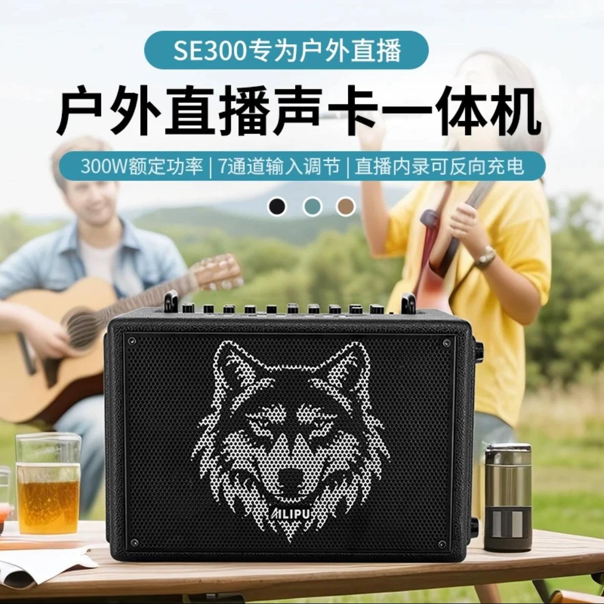 Se300户外专业蓝牙音箱