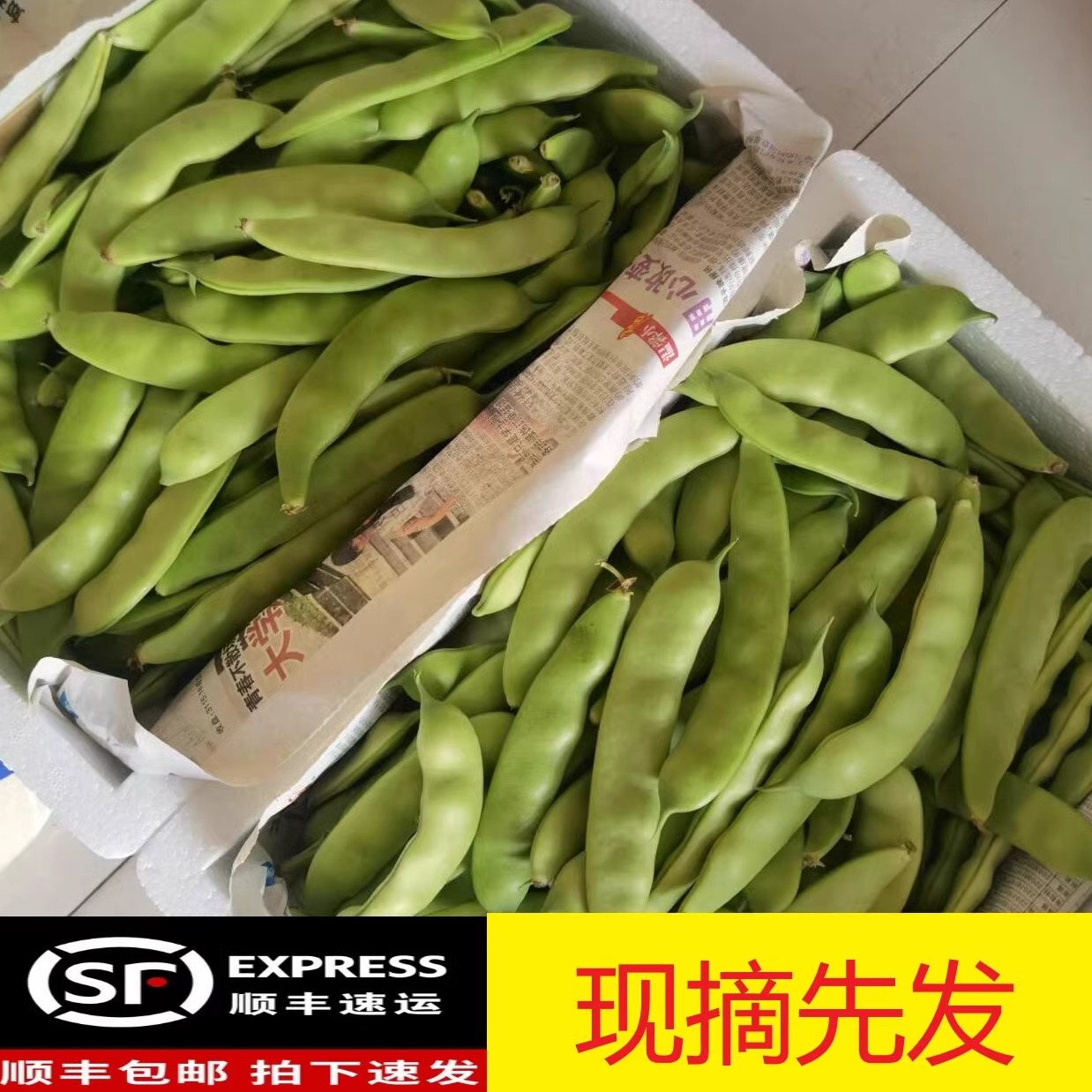 油豆角九月清豆角新鲜油豆角东北农家新鲜豆角开锅烂5斤顺丰包邮