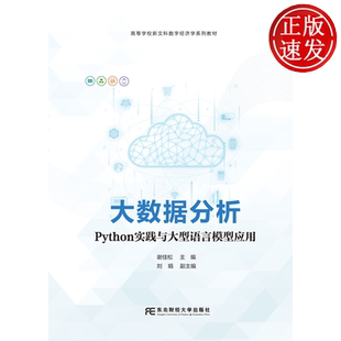 大数据分析：Python 实践与大型语言模型应用 高等学校新文科数字经济学系列教材 谢佳松 东北财经大学出版社 9787565458415