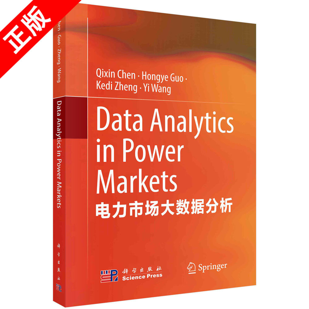 正版电力市场大数据分析=Data Analytics in Power Markets:英文书籍