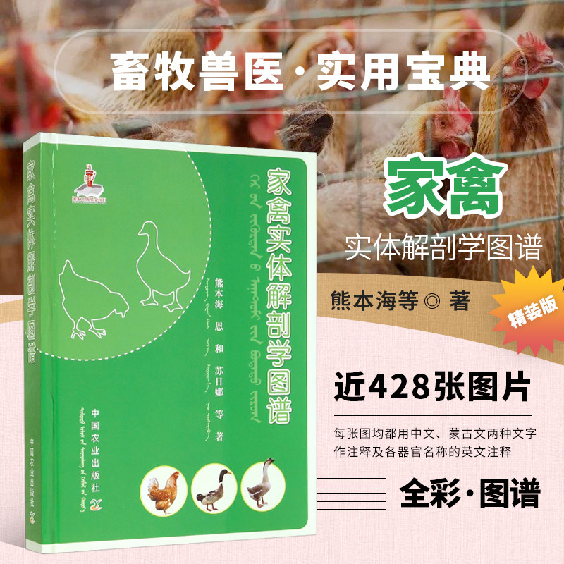 家禽实体解剖学图谱 鸡鸭鹅家禽体表及被皮系统消化呼吸心血管泌尿