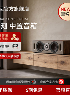 达尼声刻木质HIFI中置音箱