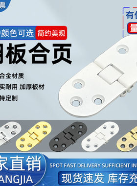 30x80锌合金翻板暗藏合页