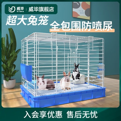 兔笼防喷尿养荷兰猪豚鼠专用