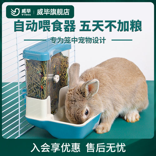 兔子自动喂食器防打翻防扒