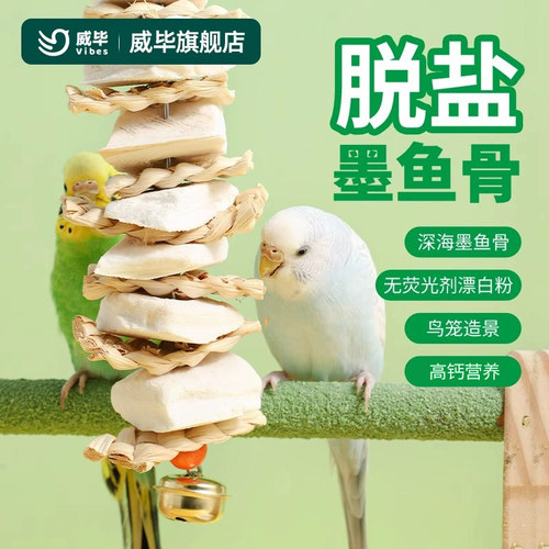 威毕墨鱼骨玄凤虎皮牡丹鹦鹉补钙