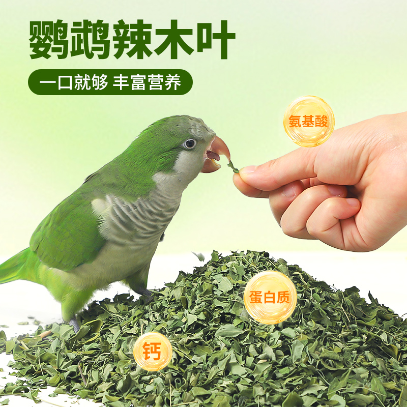 威毕鹦鹉辣木叶高营养高微量元素