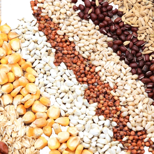 玄凤虎皮牡丹鹦鹉零食饲料鸟食五谷粮自配DIY小黑瓜子高粱燕麦片