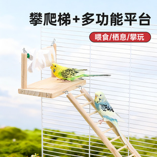 威毕鹦鹉玩具站台爬梯虎皮牡丹鸟栖息攀爬墨鱼骨造景配件用品