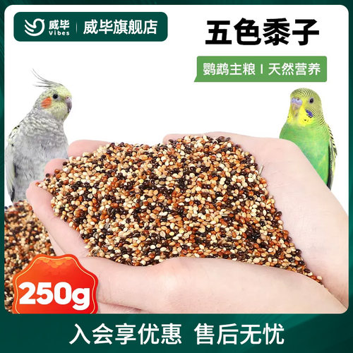 威雀鸟混合带壳250G食文