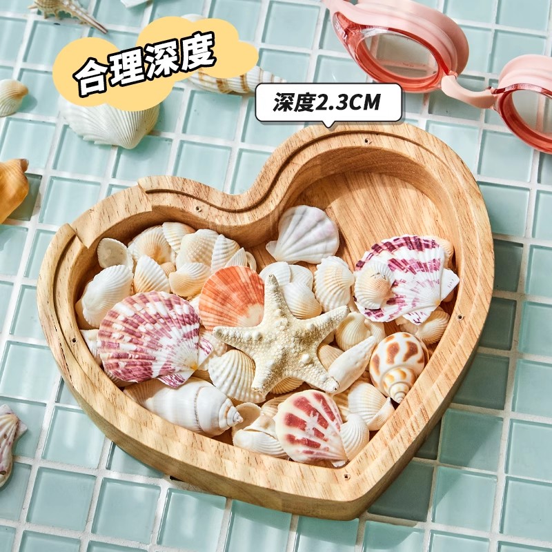 贝壳收纳盒！创意贝壳相框diy